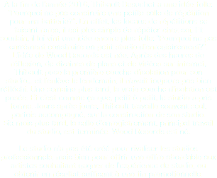 A la fin de l'année 2016, Thibault Besuchet a une idée folle: "Pourquoi ne pas construire une petite salle de répétition pour ma batterie?". En effet, les locaux de répétitions se faisant rares, il est plus simple de répéter chez-soi. Et soudain, il lui vint une idée encore plus folle: "Pourquoi ne pas carrément construire un petit studio d'enregistrement?". L'idée de Wood Records est née. Après des heures de réflexion, de dizaines de plans et de vidéos sur internet, Thibault pose la première couche d'isolation pour son studio... et l'enlève le lendemain, il n'avait toujours pas bien réfléchi. Une semaine plus tard, la vraie couche d'isolation est posée. Et c'est comme ça que, petit à petit, le studio a pris forme. Jours après jours, Thibault travaille souvent seul, parfois accompagné, sur la construction de son studio.
Six mois plus tard, la salle d'enregistrement, principal travail du studio, est terminée. Wood Records est né. Le studio n'a pas été créé pour rivaliser les studios professionnels, mais bien pour offrir une offre abordable aux artistes souhaitant gagner de l'expérience de studio, ou obtenir un résultat suffisant à une fin promotionnelle.