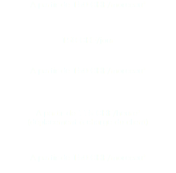 A partir de 150 CHF/morceau* 150 CHF/jour A partir de 150 CHF/morceau* A partir de 115 CHF/heure*
(déplacement à charge du client) A partir de 150 CHF/morceau*
