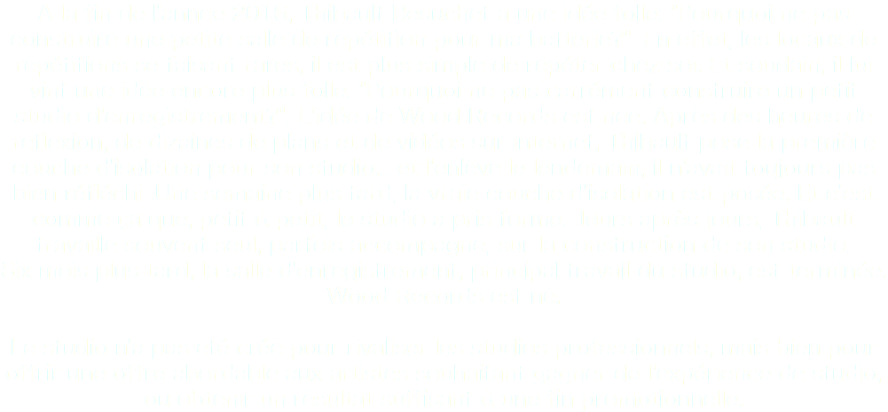 A la fin de l'année 2016, Thibault Besuchet a une idée folle: "Pourquoi ne pas construire une petite salle de répétition pour ma batterie?". En effet, les locaux de répétitions se faisant rares, il est plus simple de répéter chez-soi. Et soudain, il lui vint une idée encore plus folle: "Pourquoi ne pas carrément construire un petit studio d'enregistrement?". L'idée de Wood Records est née. Après des heures de réflexion, de dizaines de plans et de vidéos sur internet, Thibault pose la première couche d'isolation pour son studio... et l'enlève le lendemain, il n'avait toujours pas bien réfléchi. Une semaine plus tard, la vraie couche d'isolation est posée. Et c'est comme ça que, petit à petit, le studio a pris forme. Jours après jours, Thibault travaille souvent seul, parfois accompagné, sur la construction de son studio.
Six mois plus tard, la salle d'enregistrement, principal travail du studio, est terminée. Wood Records est né. Le studio n'a pas été créé pour rivaliser les studios professionnels, mais bien pour offrir une offre abordable aux artistes souhaitant gagner de l'expérience de studio, ou obtenir un résultat suffisant à une fin promotionnelle.